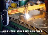 Vicon Plasma Cutter